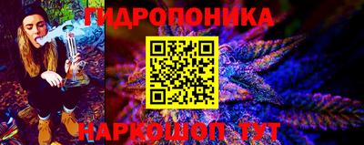 jwh Новозыбков