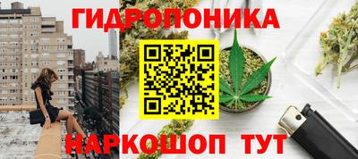 jwh Новозыбков