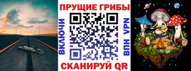 Псилоцибиновые грибы Psilocybe  Ставрополь 