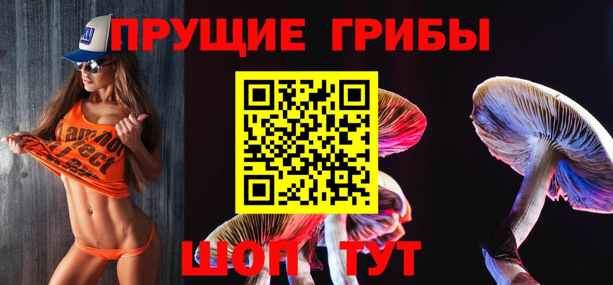 Галлюциногенные грибы Psilocybine cubensis Ставрополь