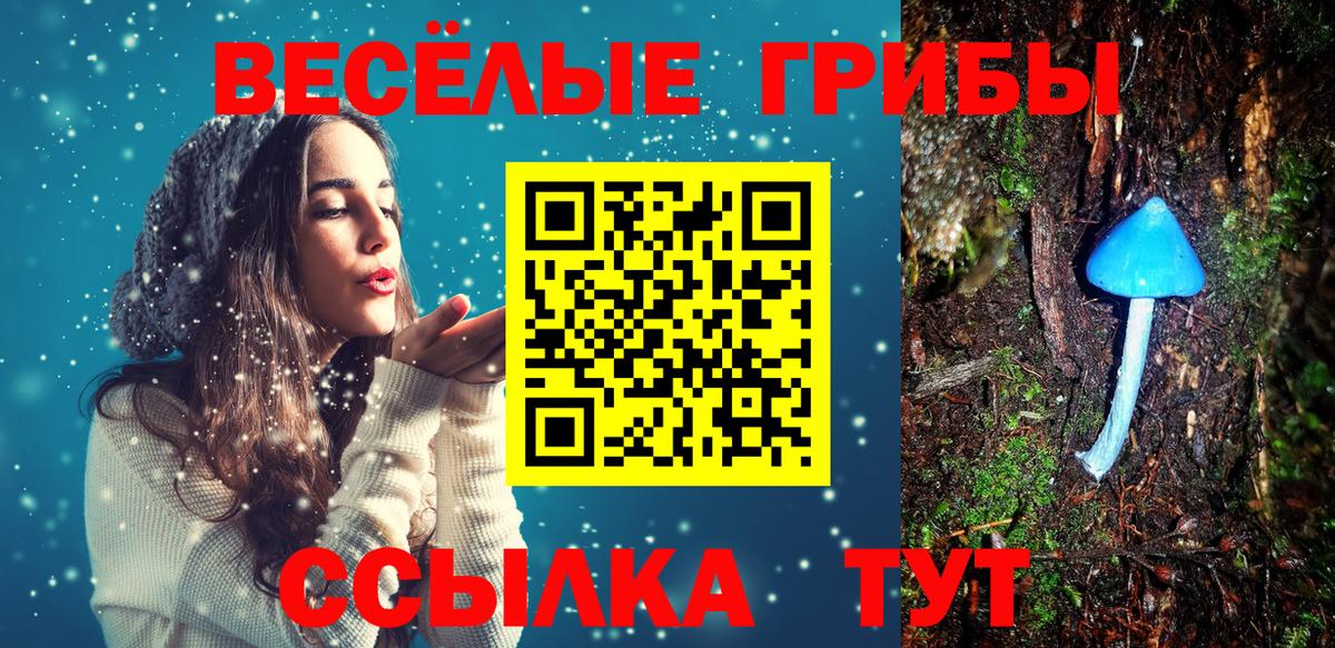 Галлюциногенные грибы Magic Shrooms  Вход с VPN  Ставрополь  Псилоцибиновые грибы Magic Shrooms 